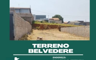 anuncio_8453_101054